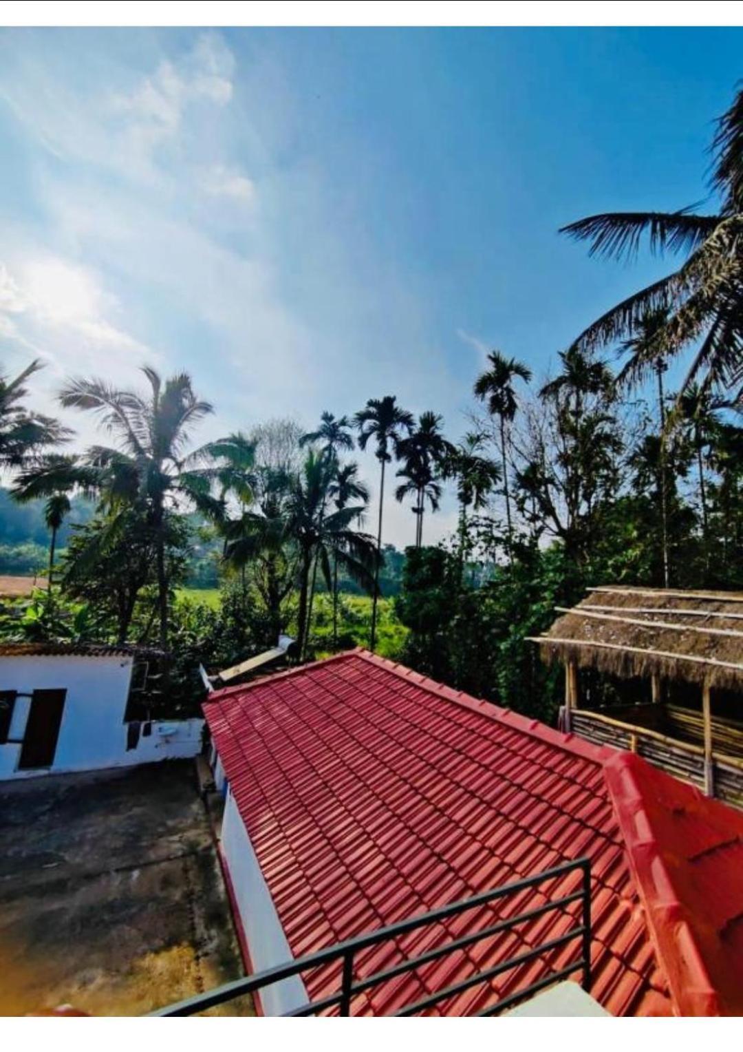 Streaming Valley Independent Coffee Estate Stay Madikeri Exteriör bild