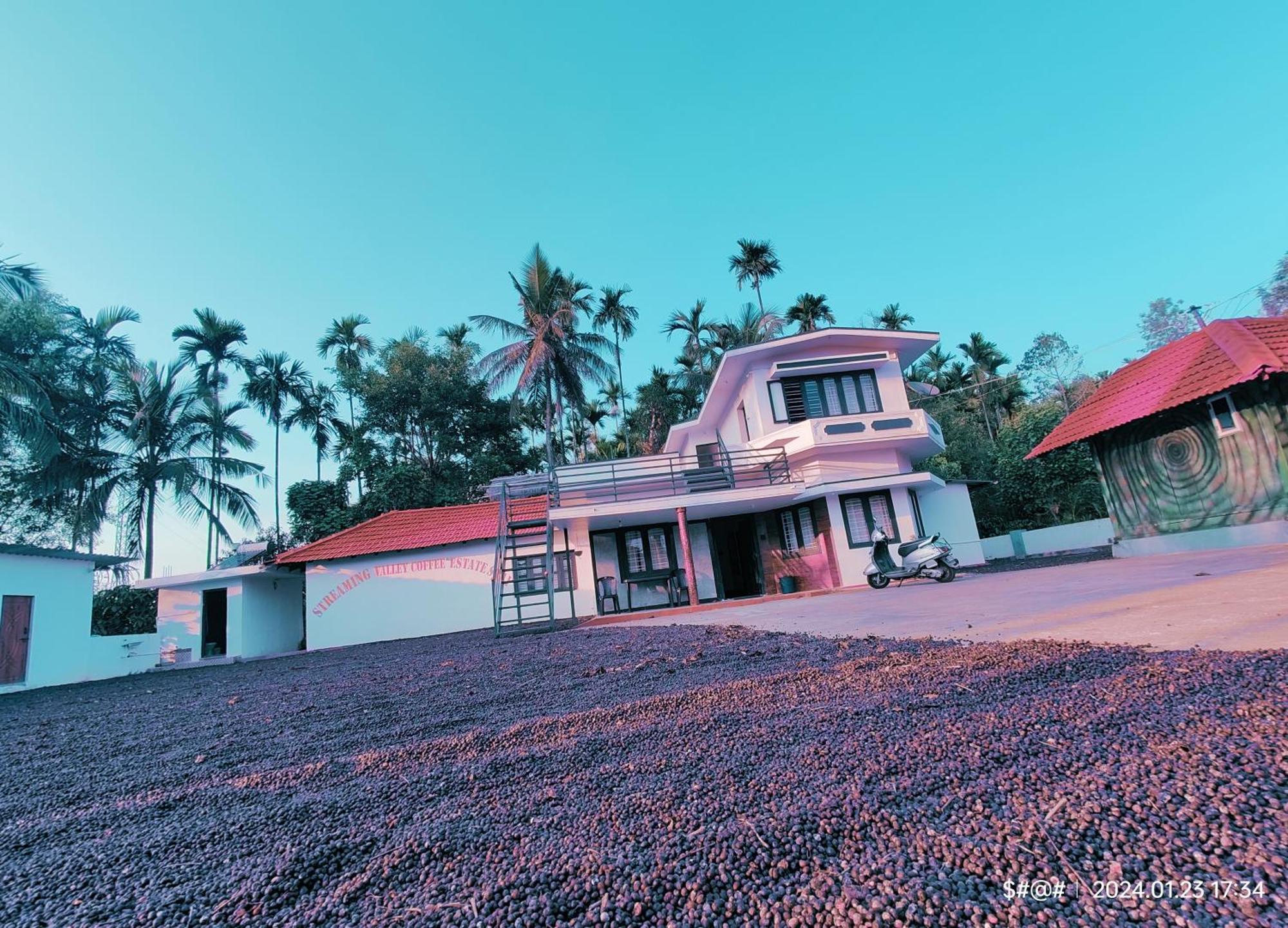 Streaming Valley Independent Coffee Estate Stay Madikeri Exteriör bild
